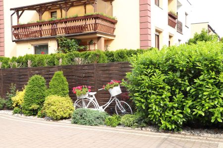 Landscaping Along a Fence Line: Plants That Look Great Without Damaging Posts